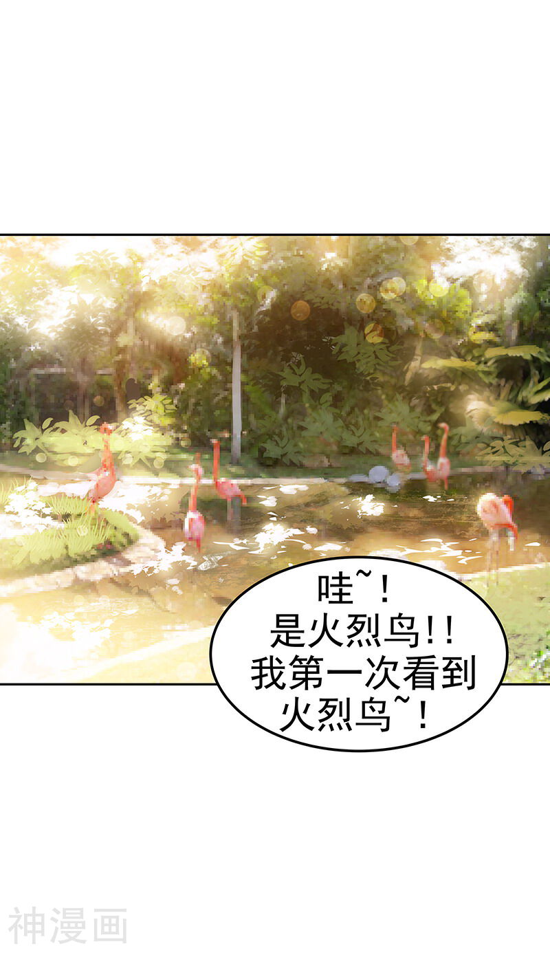 心有独钟韩漫全集-第146话 游逛动物园无删减无遮挡章节图片 